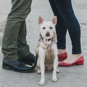 Meet your Posher, Laura